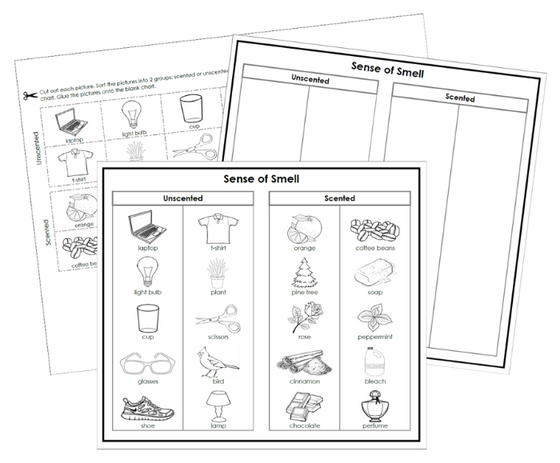 Sense of Smell Sorting Cut & Paste (Blackline Masters) - Montessori Print Shop Digital Download