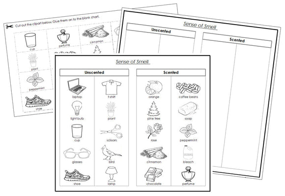 Sense of Smell Sorting Blackline Masters - Montessori Print Shop