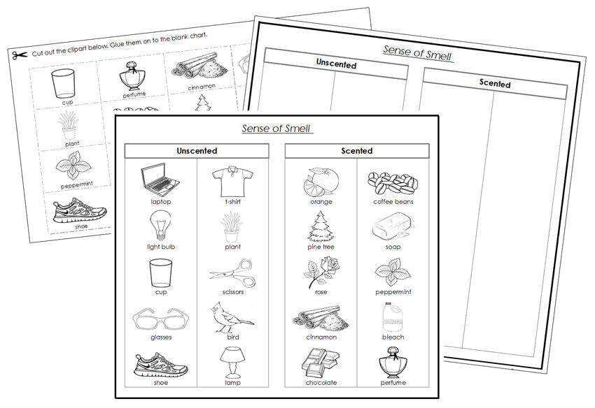 Sense of Smell Sorting Blackline Masters - Montessori Print Shop