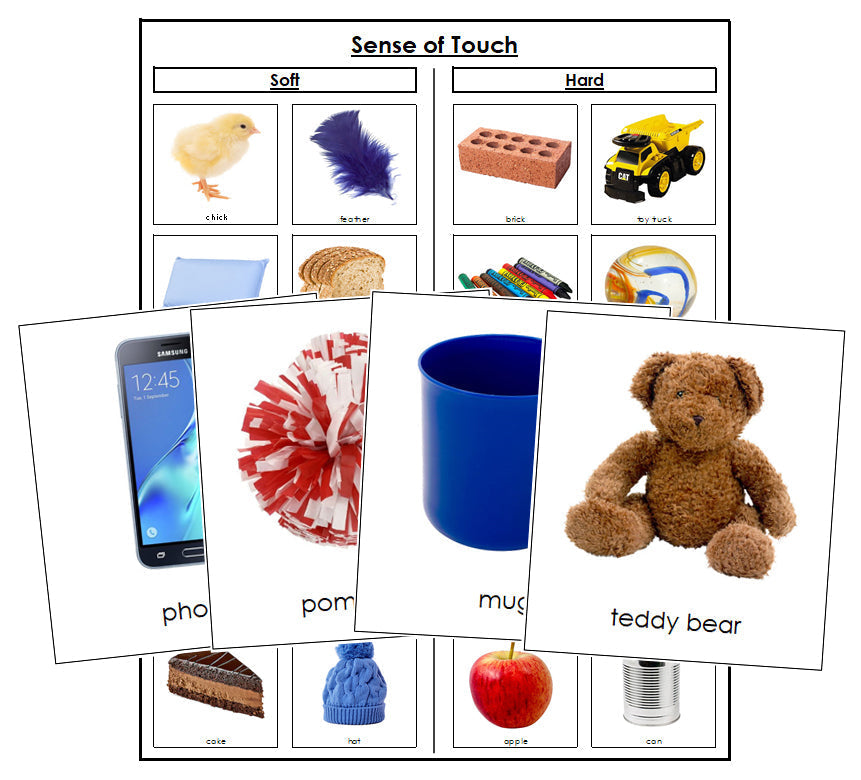 Sense of Touch Sorting Cards (Set 1) - Montessori Print Shop Digital Download
