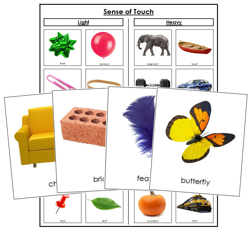 Sense of Touch Sorting Cards (Set 2) - Montessori Print Shop Digital Download
