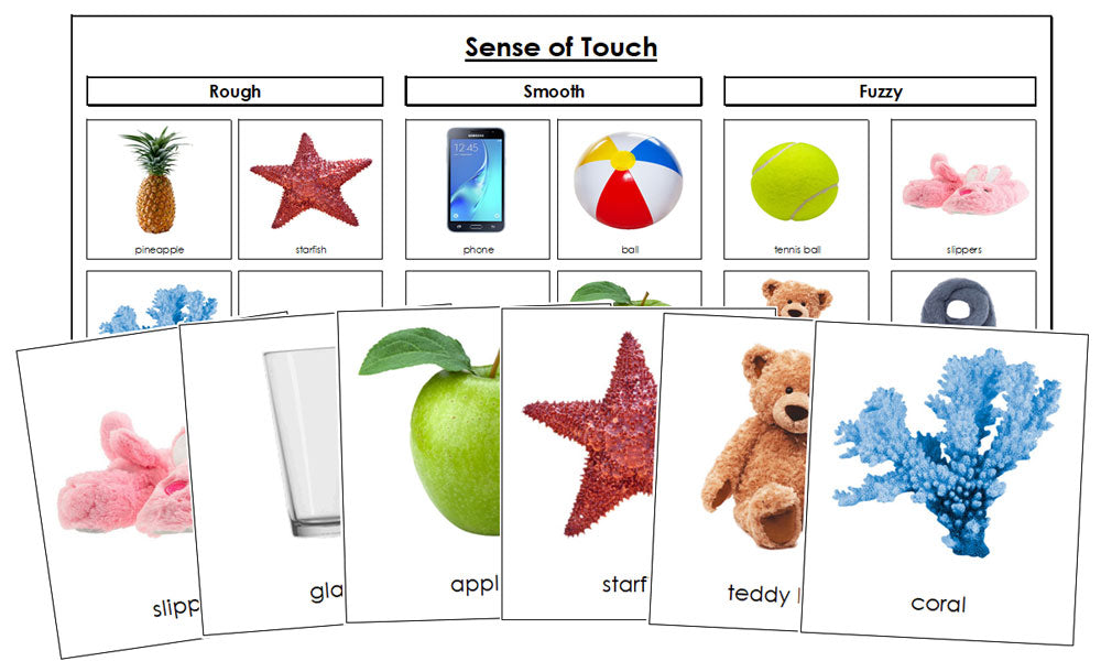 Sense of Touch Sorting Cards (Set 3) - Montessori Print Shop Digital Download