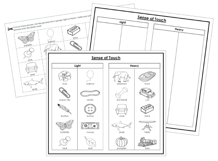 Sense of Touch Sorting Cut & Paste (Set 2) Blackline Masters - Montessori Print Shop Digital Download