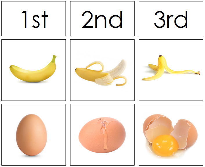 Sequence Cards - Montessori Print Shop Digital Download Preschool printable
