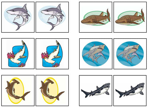 Shark Match-Up & Memory Game - Montessori Print Shop