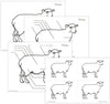 Elementary Sheep Nomenclature - Montessori Print Shop