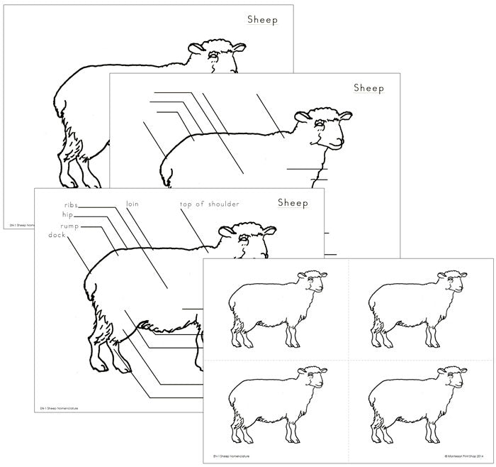Elementary Sheep Nomenclature - Montessori Print Shop Digital Download