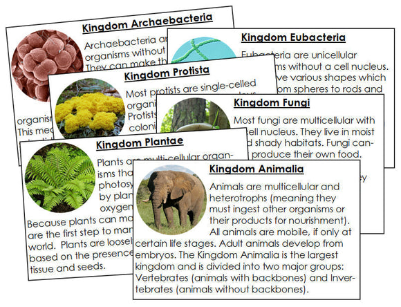 Six Kingdoms of Life Information Cards - Montessori Print Shop