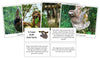 Sloth Fast Facts & Pictures - Montessori Print Shop