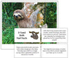 Sloth Fast Facts & Pictures - Montessori Print Shop
