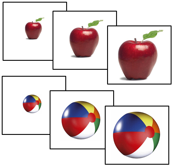 FREE small, medium, and large sequenc cards - Montessori Print Shop Digital Download