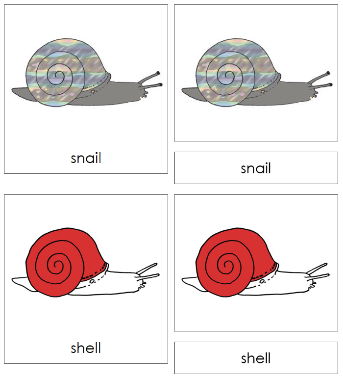 Parts of a Snail Nomenclature Cards - Montessori Print Shop Digital Download