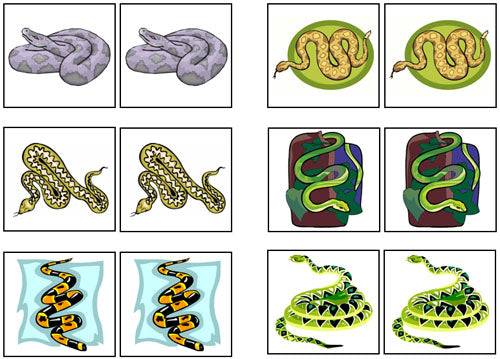 Snake Match-Up & Memory Game - Montessori Print Shop Digital Download