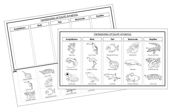 South America Vertebrate Sorting Blackline Masters - Montessori Print Shop animal activity