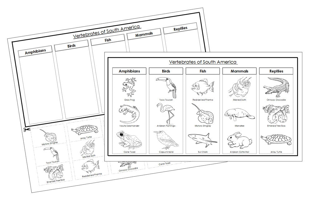 South America Vertebrate Sorting Blackline Masters - Montessori Print Shop animal activity