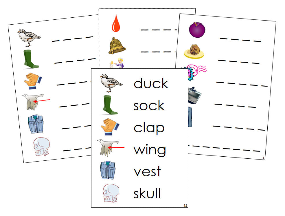Montessori Step 2: Phonetic Spelling Cards - Montessori phonetic  language cards - Montessori Print Shop