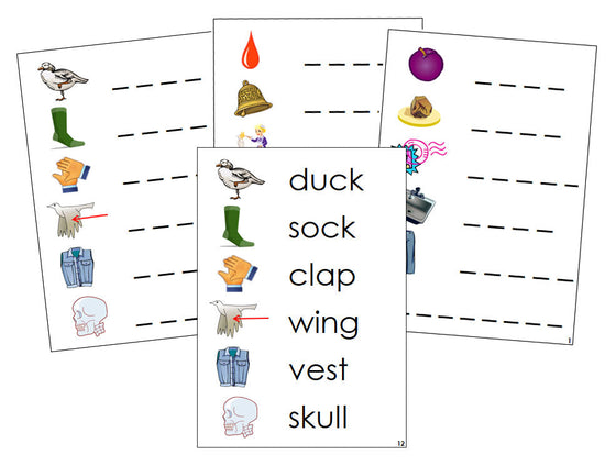 Montessori Step 2: Phonetic Spelling Cards - Montessori phonetic  language cards - Montessori Print Shop