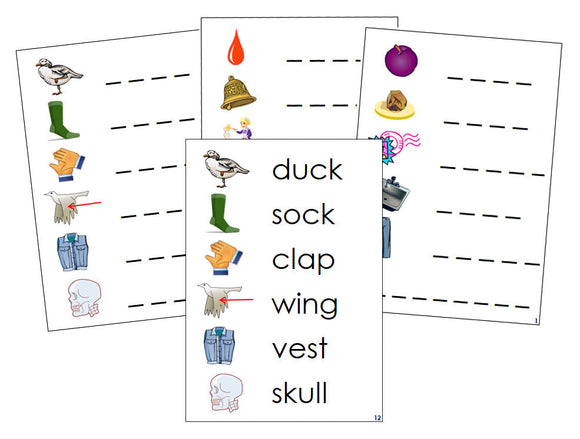Montessori Step 2: Phonetic Spelling Cards - Montessori phonetic  language cards - Montessori Print Shop