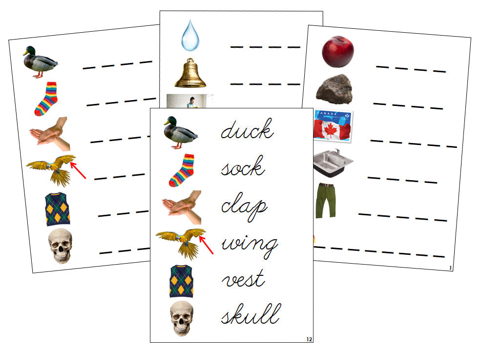 Montessori Step 2 Language Series Bundle (photos) - CURSIVE - Phonetic Spelling Cards - Montessori Print Shop Digital Download Phonics Language Program