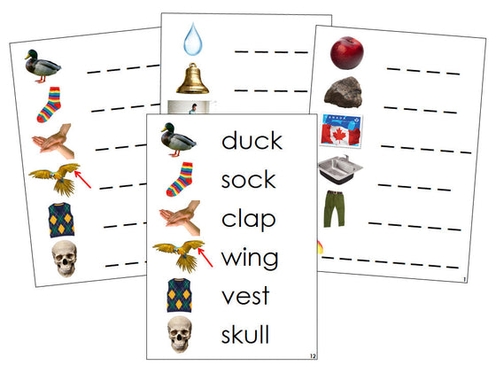 Montessori Step 2: Spelling Cards (photos) - Montessori Print Shop phonics program