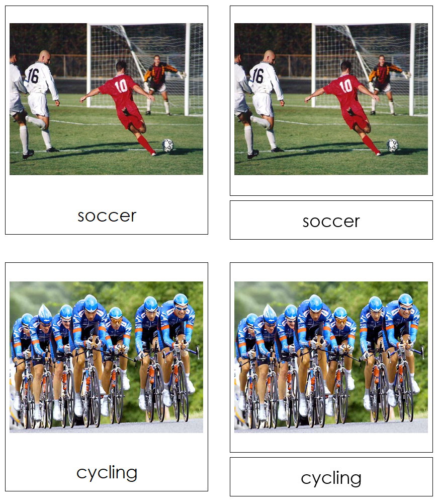 Types of Sports 3-Part Cards - Montessori Print Shop Digital Download