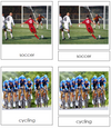 Sport Cards - Montessori Print Shop