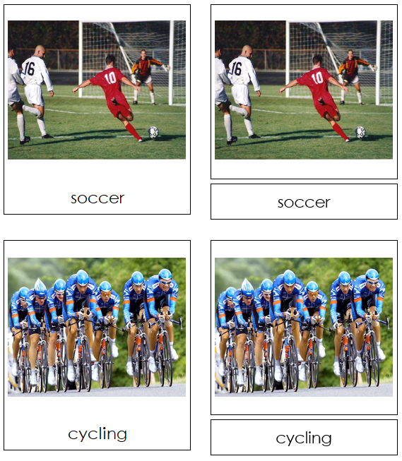 Sports 3-Part Cards - Montessori Print Shop