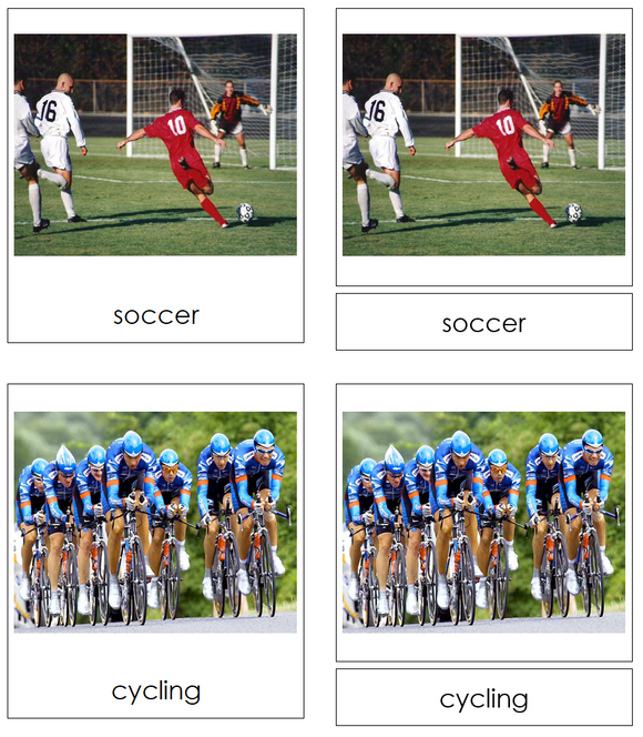 Types of Sports 3-Part Cards - Montessori Print Shop Digital Download