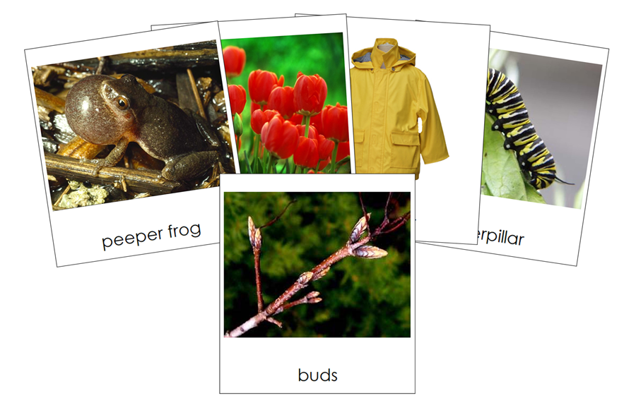 Types of Spring Season Images 3-Part Cards - Montessori Print Shop Digital Download