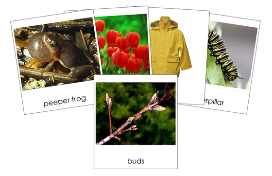Types of Spring Season Images 3-Part Cards - Montessori Print Shop Digital Download
