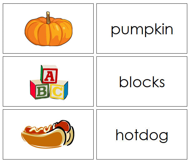 Step 2: Phonetic Word & Picture Cards - Montessori language cards - Montessori Print Shop Digital Download