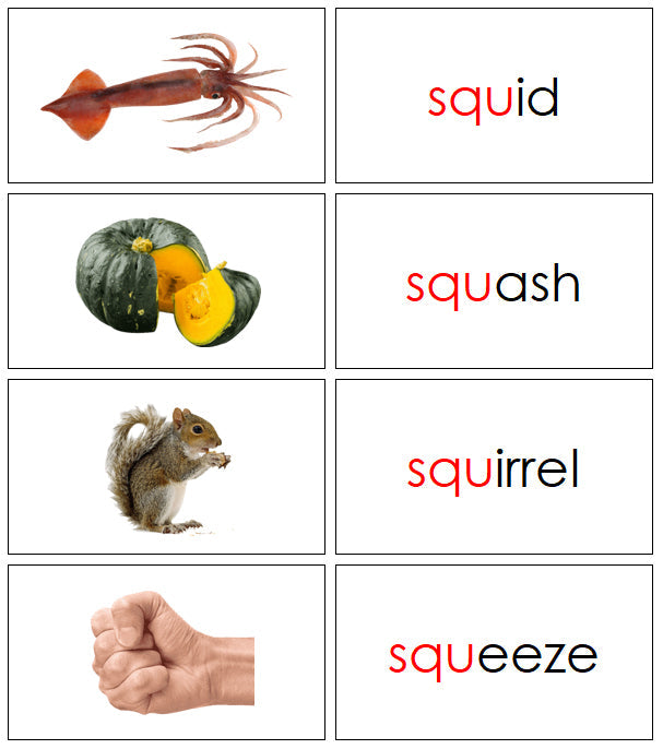 Montessori Step 3 Language Series Bundle (photos) - Blends & Digraphs Words and Picture Cards - Montessori Print Shop language program