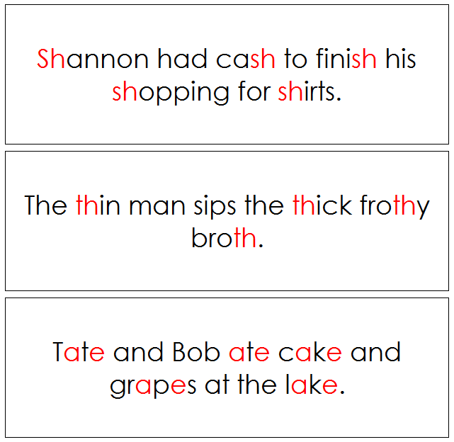 Step 3: Sentence Cards -  Montessori language cards