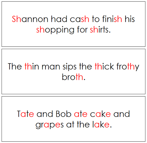 Step 3: Sentence Cards -  Montessori language cards