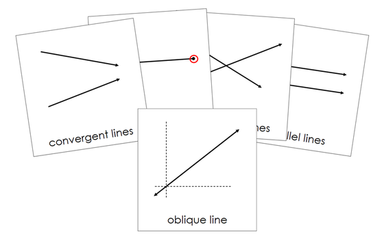 The Study of Lines 3-Part Cards - Montessori Print Shop Digital Download