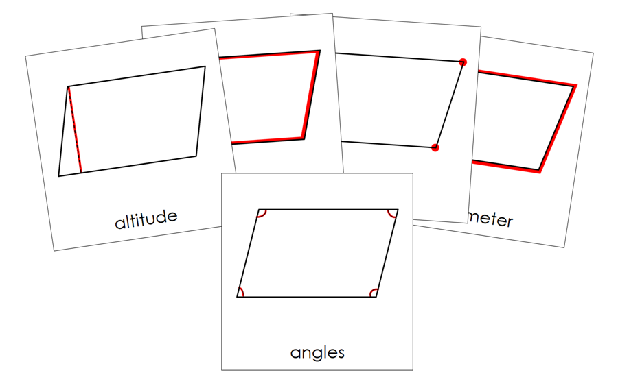 The Study of a Parallelogram 3-Part Cards - Montessori Print Shop Digital Download