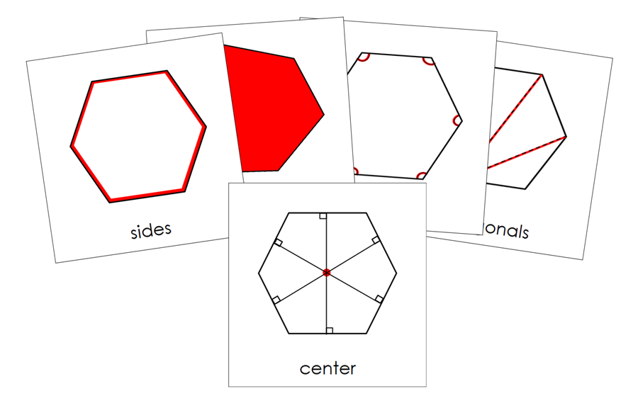 Study of a Polygon 3-Part Cards - Montessori Print Shop Digital Download