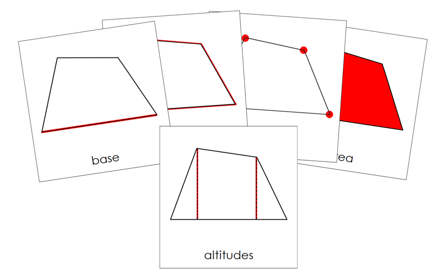 Study of a Quadrilateral 3-Part Cards - Montessori Print Shop Digital Download