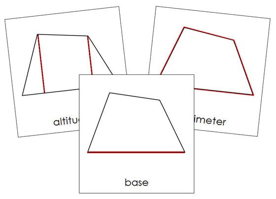 Study of a Quadrilateral Cards - Montessori Print Shop geometry cards