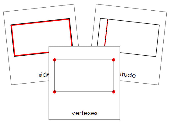 Study of a Rectangle Cards - Montessori Print Shop geometry cards