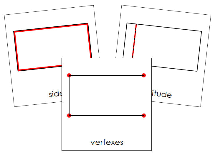 Study of a Rectangle Cards - Montessori Print Shop geometry cards