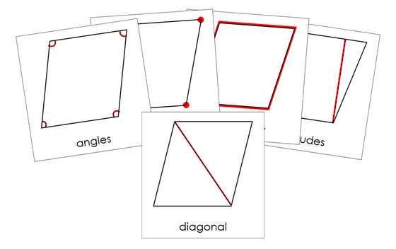 Study of a Rhombus 3-Part Cards - Montessori Print Shop Digital Download