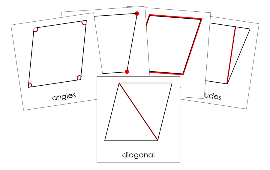Study of a Rhombus 3-Part Cards - Montessori Print Shop Digital Download