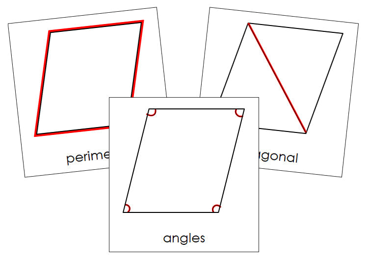 Study of a Rhombus Cards - Montessori Print Shop geometry