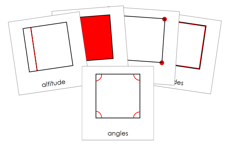 Study of a Square 3-Part Cards - Montessori Print Shop Digital Download