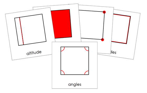 Study of a Square 3-Part Cards - Montessori Print Shop Digital Download