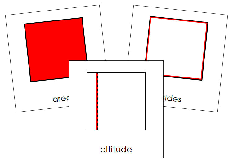 Study of a Square Cards - Montessori Print Shop geometry cards