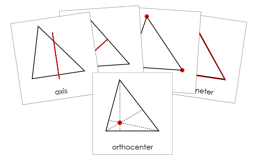 Study of a Triangle 3-Part Cards - Montessori Print Shop Digital Download geometry cards