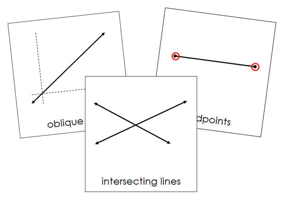 The Study of Lines Cards - Montessori Print Shop geometry cards