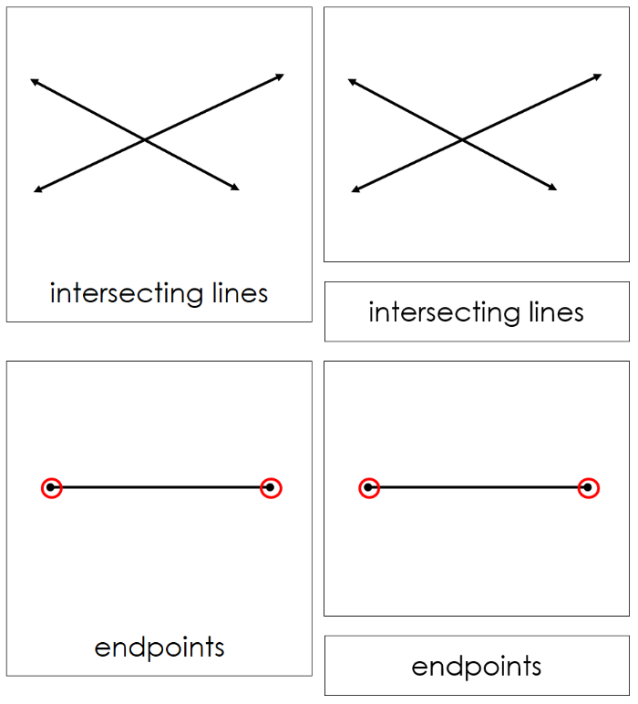 The Study of Lines Nomenclature Cards - Montessori Print Shop Digital Download